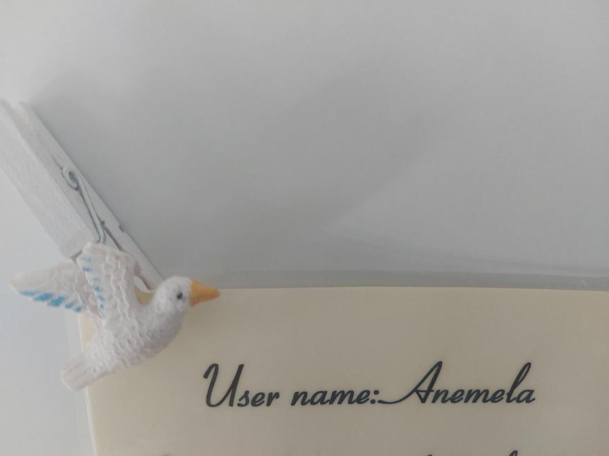 Anemela Studio Basic Naxos City Eksteriør billede